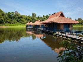 Amazônia - Uakari Lodge - Reserva Mamirauá