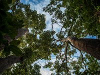 Amazônia - Vivência Ribeirinha no Baixo Rio Negro