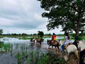 Pantanal Norte - Pousada Piuval