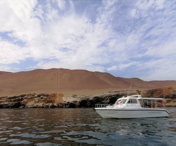 Paracas e Ilhas Ballestas