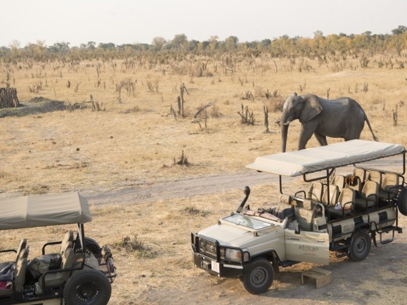  Zimbabwe Imperdível by African Bush Camps