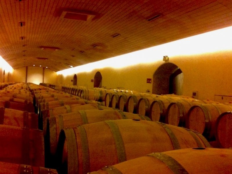 Santiago Neve - Paisagens e Vinho