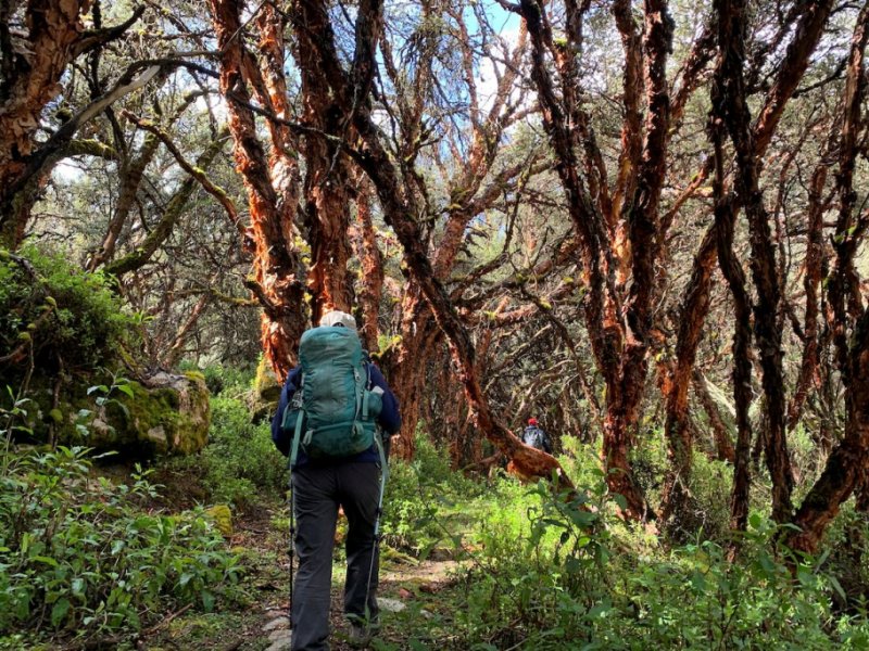 Trekking Cordilheira Blanca