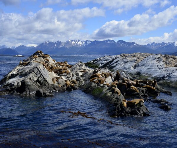 Navegação Canal de Beagle