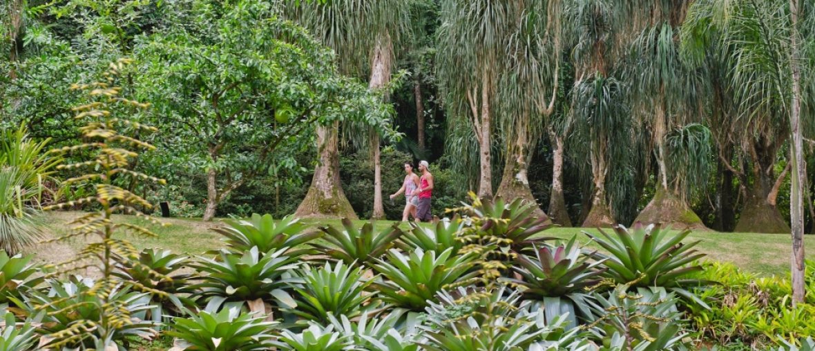 Pacotes para Inhotim - Jardim