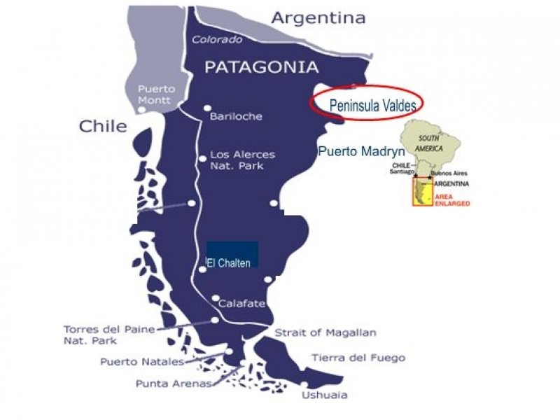 Patagonia Paisagens - Península Valdés