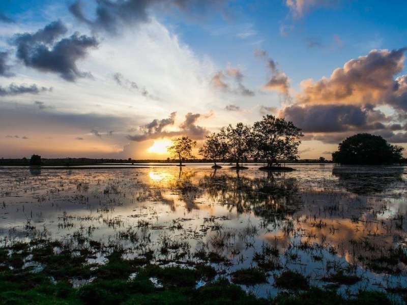 Amazônia - Belém, Ilha de Marajó, Alter do Chão e Juma Amazon Lodge