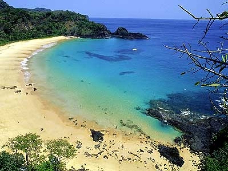 Fernando de Noronha Básico 