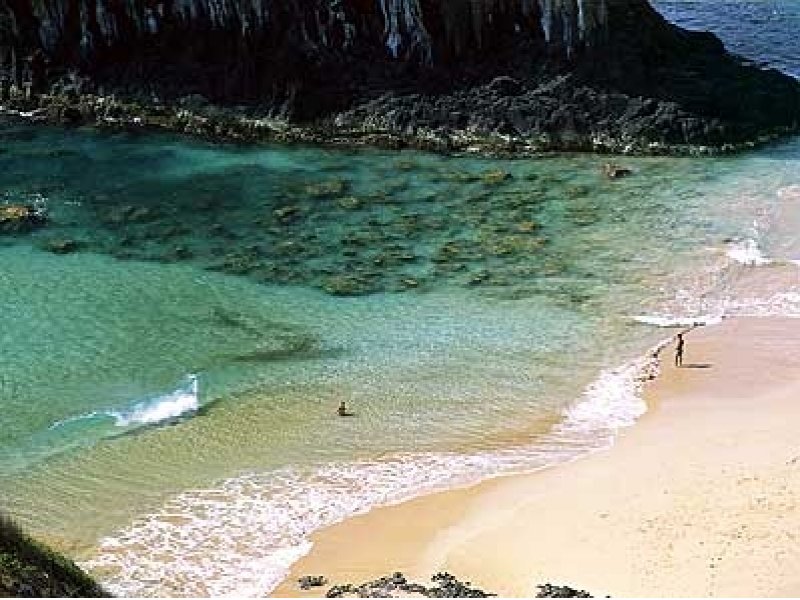 Fernando de Noronha Básico 