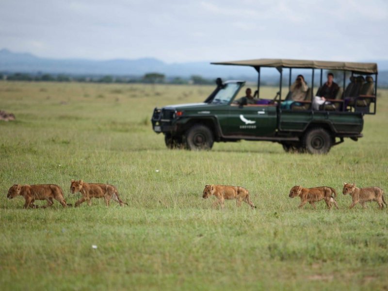 Safari de Luxo no Quênia e Tanzânia