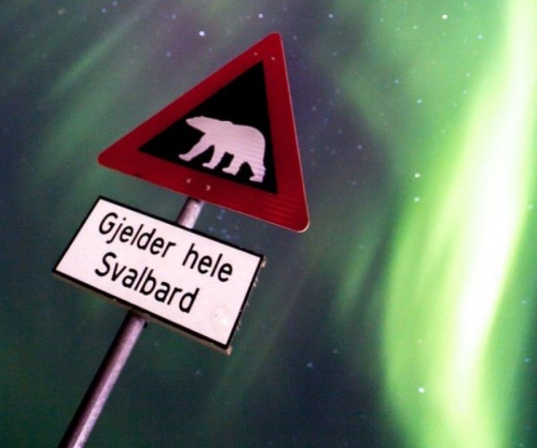 Noruega - Svalbard - Arquipélago de Spitsbergen