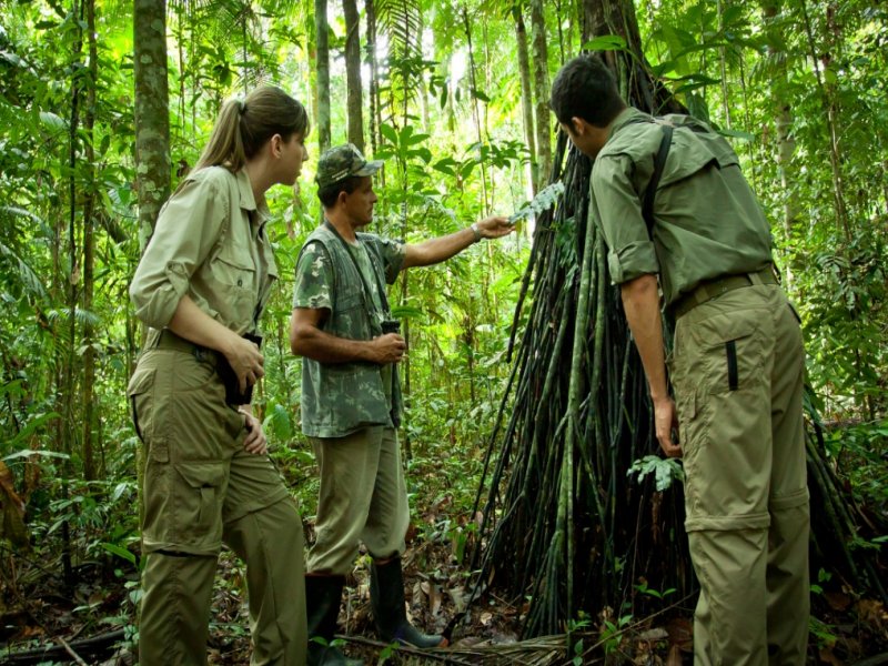 Amazônia - Cristalino Jungle Lodge - Um Santuário Amazônico