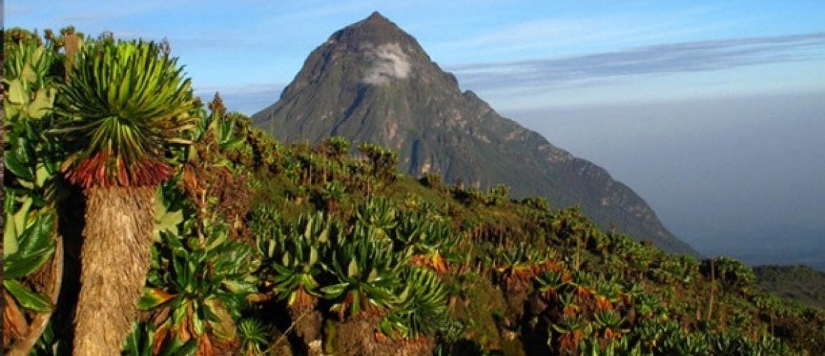 Viagem para Ruanda - Montanha