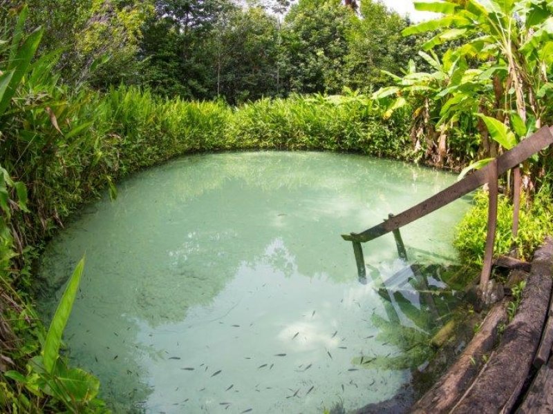 Jalapão 360º c/ Lagoa do Japonês