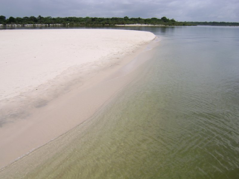 Pará - Descubra Alter do Chão e a Floresta Nacional do Tapajós