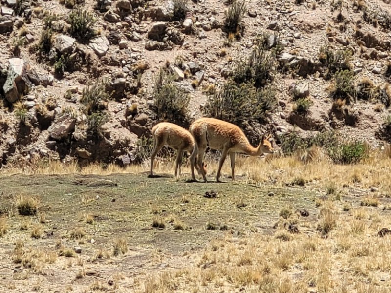 Salta e Jujuy