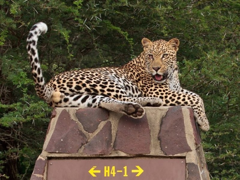Maurítius, Cape Town, Safari no Kruger Park