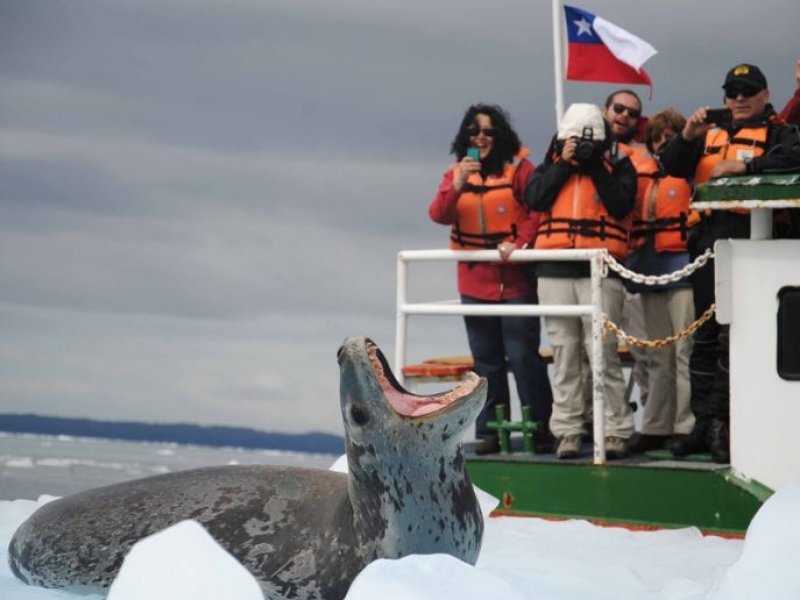 Patagonia -  Cruzeiro Skorpios II - Rota Chonos