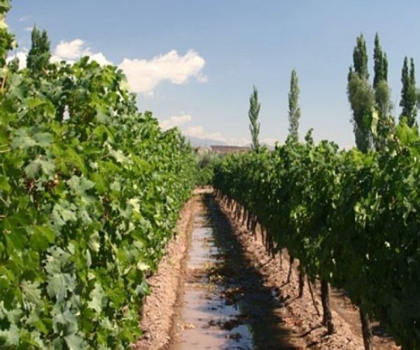 Mendoza Multiaventuras
