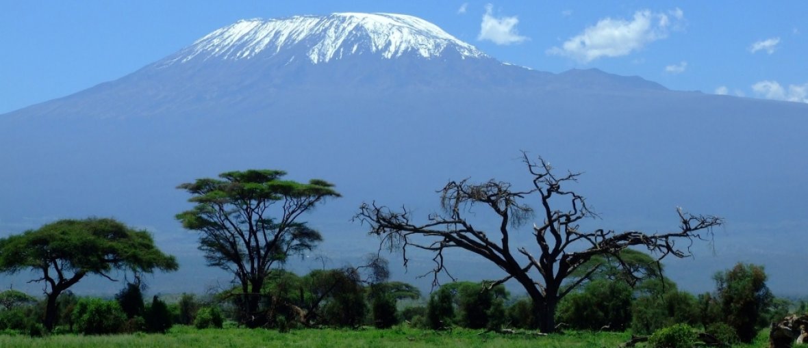 Safari na Tanzânia - Kilimanjaro