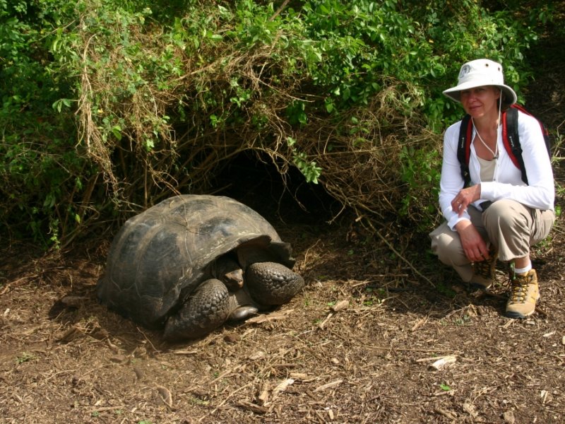 Galápagos