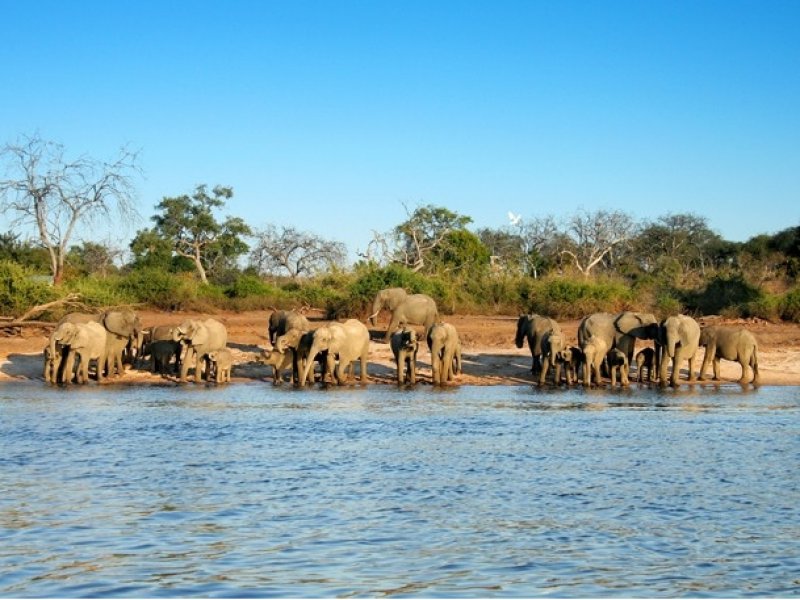 Botswana - Delta do Okavango e Reserva Moremi