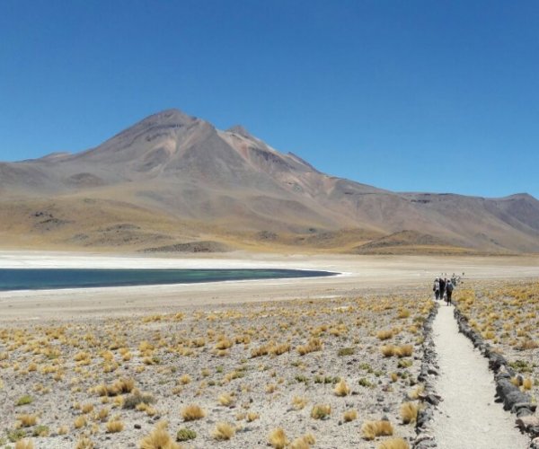 Atacama Flash
