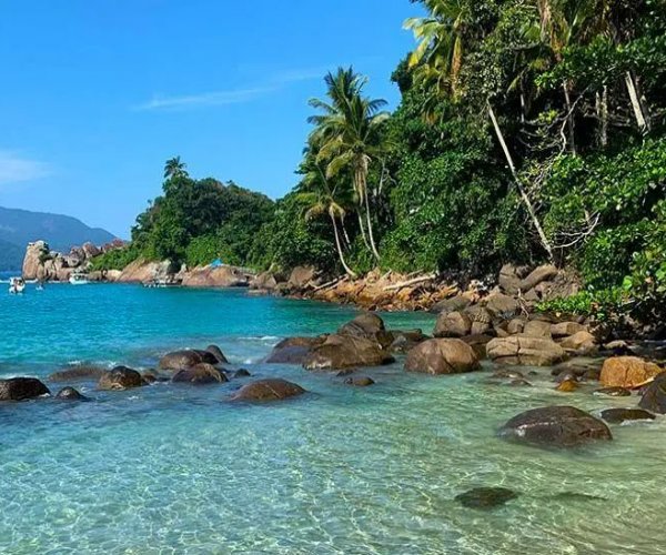 CARNAVAL - Volta da Ilha Grande