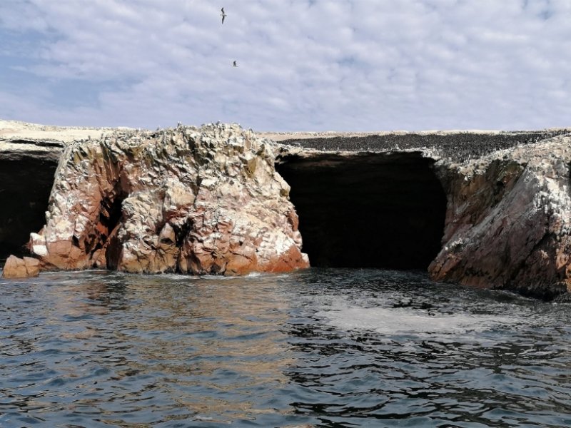 Paracas e Ilhas Ballestas