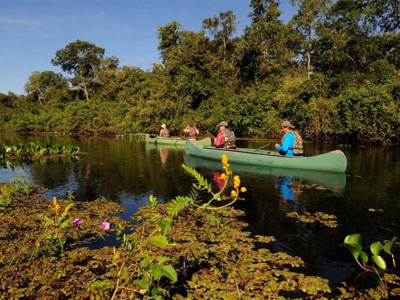 Pantanal Norte