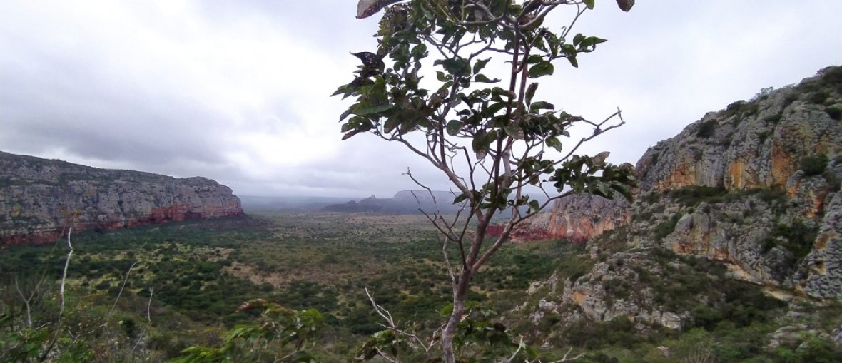 Pacotes para Parque Nacional do Catimbau
