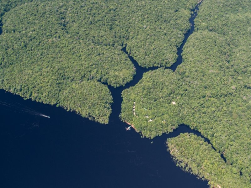 Amazônia - Anavilhanas Jungle Lodge