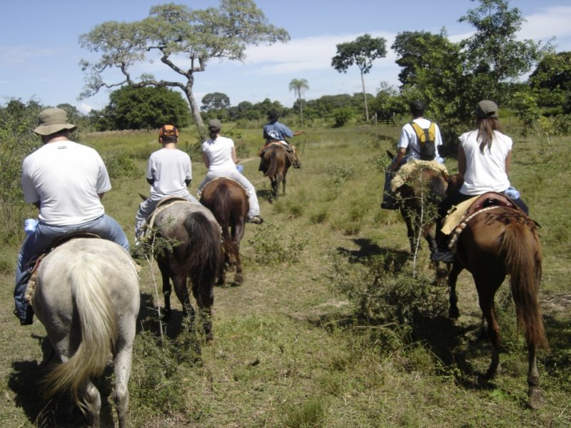 Pantanal Sul - Fazenda Aguapé