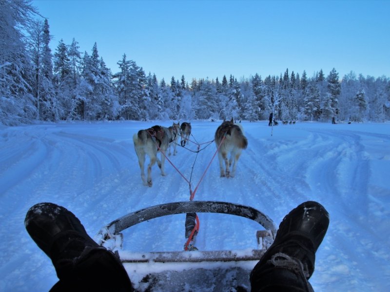 Finlândia - Aventura de Inverno e Aurora Boreal em Rovaniemi