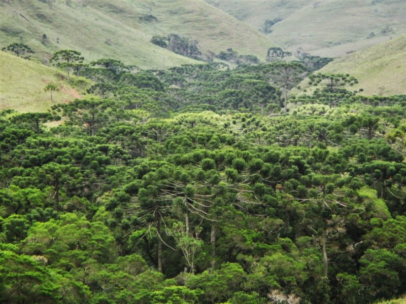 Parque Estadual da Serra do Papagaio - Travessia do Segredo