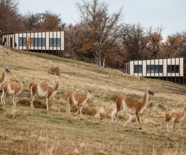 Patagonia Luxo – Awasi Patagonia Relais & Châteaux