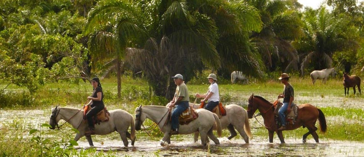 Pantanal Norte