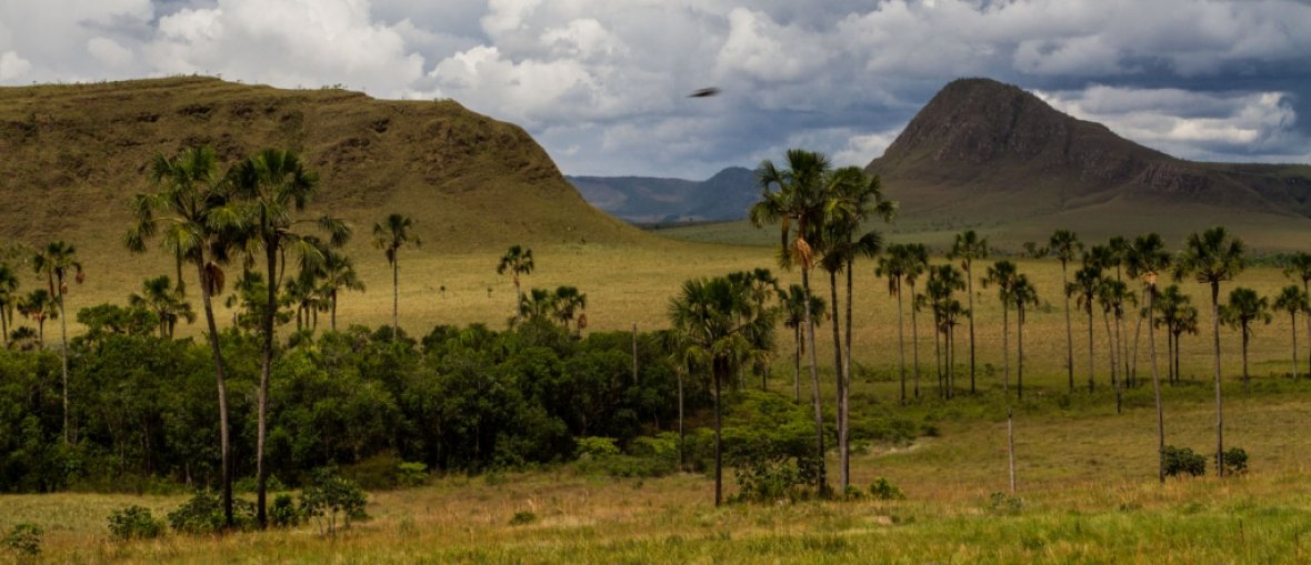 Pacotes para Chapada dos Veadeiros - Paisagem