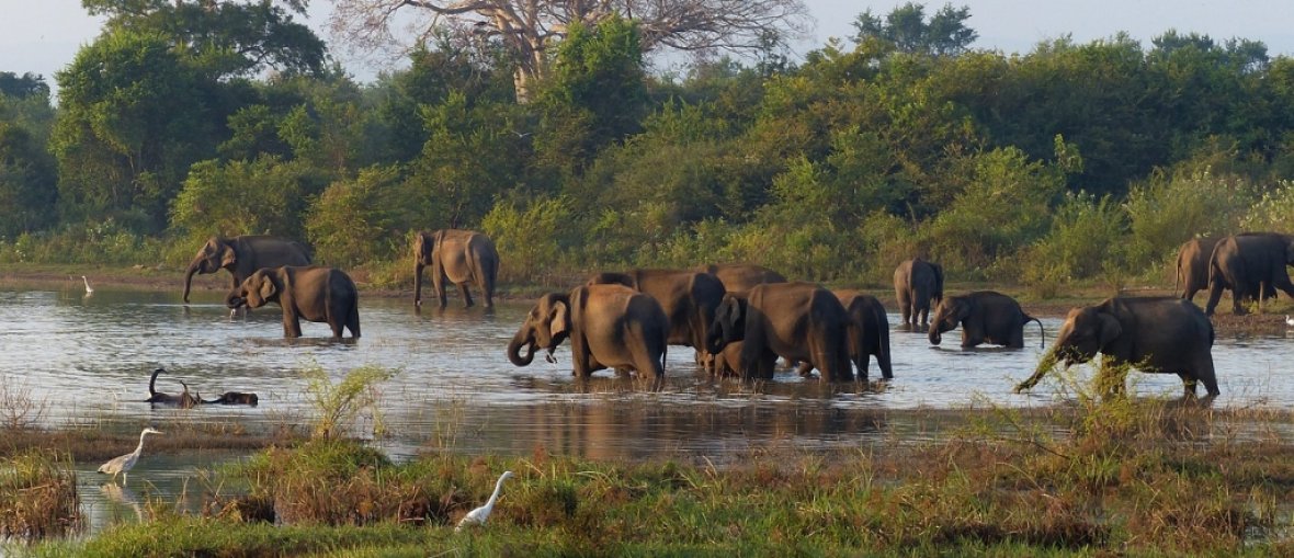 Pacotes de viagens para o Sri Lanka