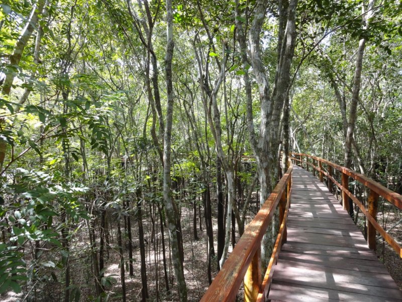 Amazônia - Juma Amazon Lodge
