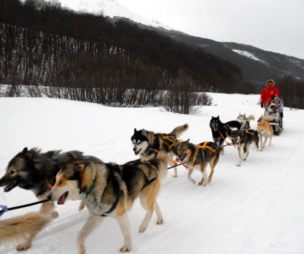 Patagonia Inverno - Ushuaia - Experiência na Neve