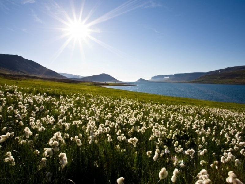 Islândia - Reykjavík