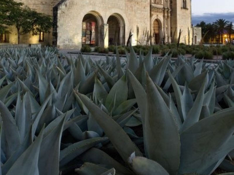 México - Astecas e Maias
