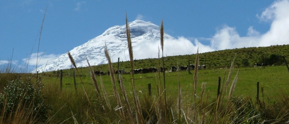 Pacotes para Quito e Avenida dos Vulcões - Cotopaxi