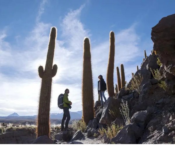 Trekking Guatin