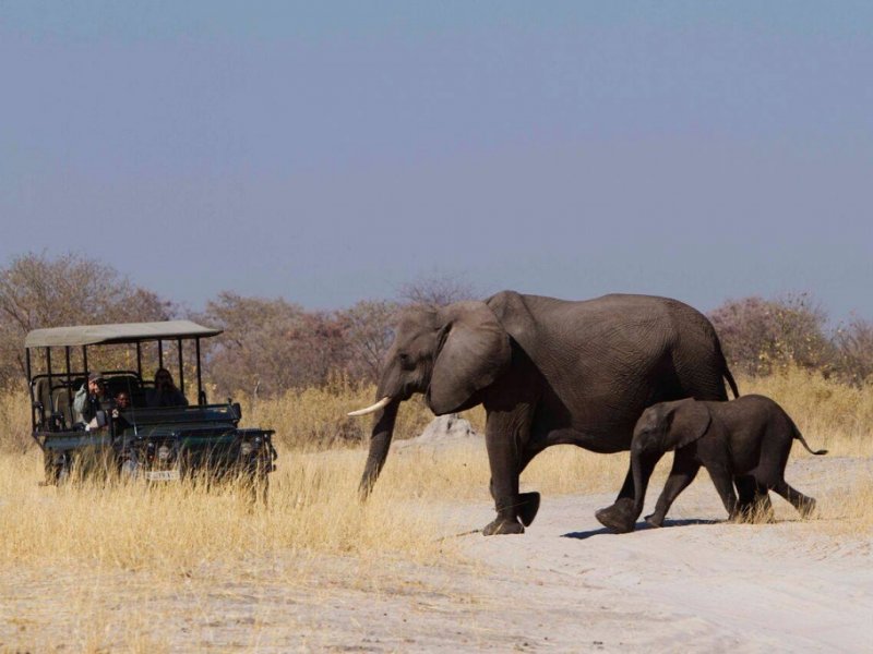 Botswana - Delta do Okavango e Reserva Moremi