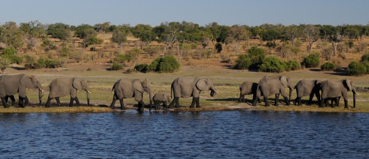 Viagem para Botswana - Delta do Okavango