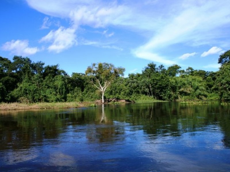Pantanal Sul - Fazenda San Francisco