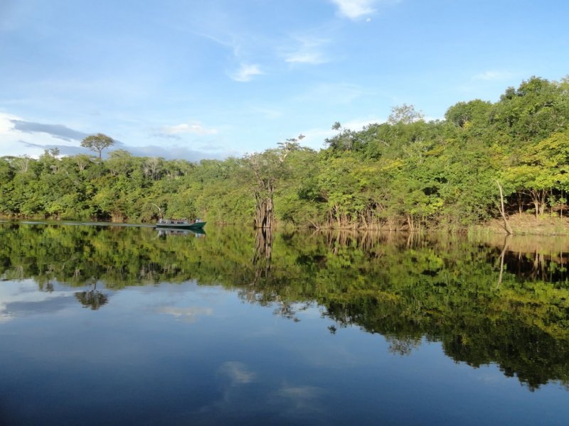 Amazônia - Juma Amazon Lodge