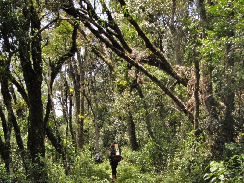 Parque Estadual da Serra do Papagaio - Travessia do Segredo